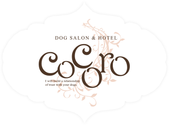 休業のお知らせ | DOGSALON&HOTEL cocoro