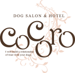 携帯が壊れてしまいました | DOGSALON&HOTEL cocoro