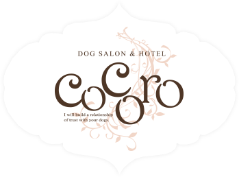 携帯が壊れてしまいました | DOGSALON&HOTEL cocoro