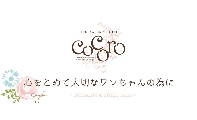 心をこめて大切なワンちゃんの為に　DOGSALON & HOTEL cocoro